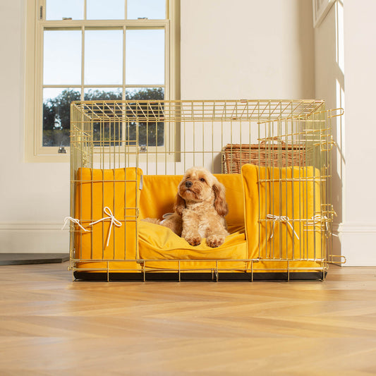 Dog Crate Bumper in Saffron Velvet