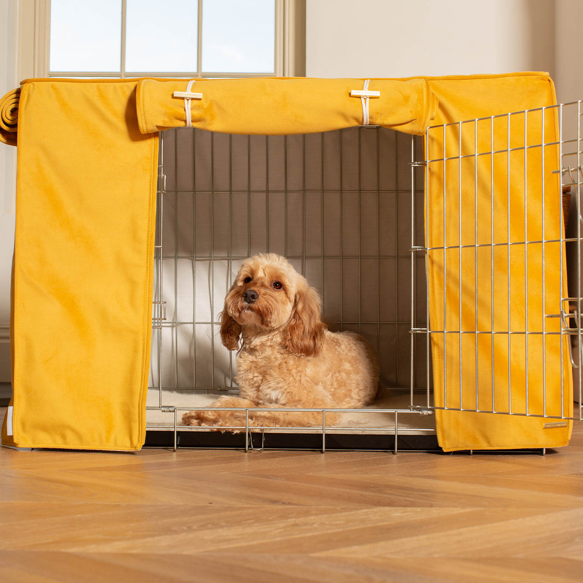 Dog Crate with Crate Cover in Saffron Velvet, view 4