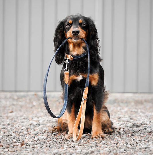 Essentials Twill Dog Lead in Denim