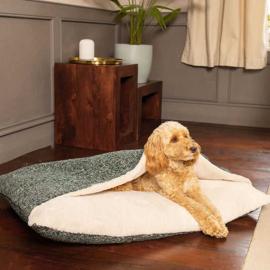 Sleepy Burrows Bed With Removable Cover In Emerald Minerals