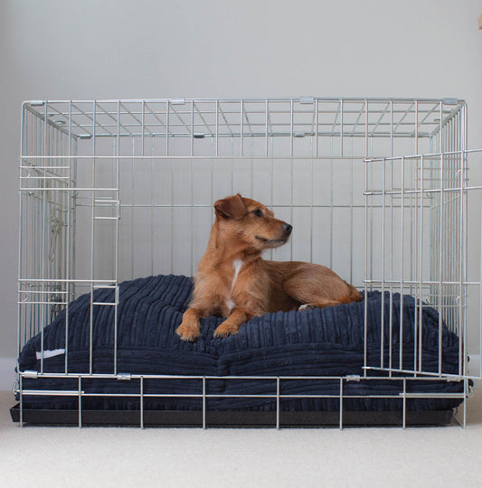 Dog Cushion in Navy Essentials Plush