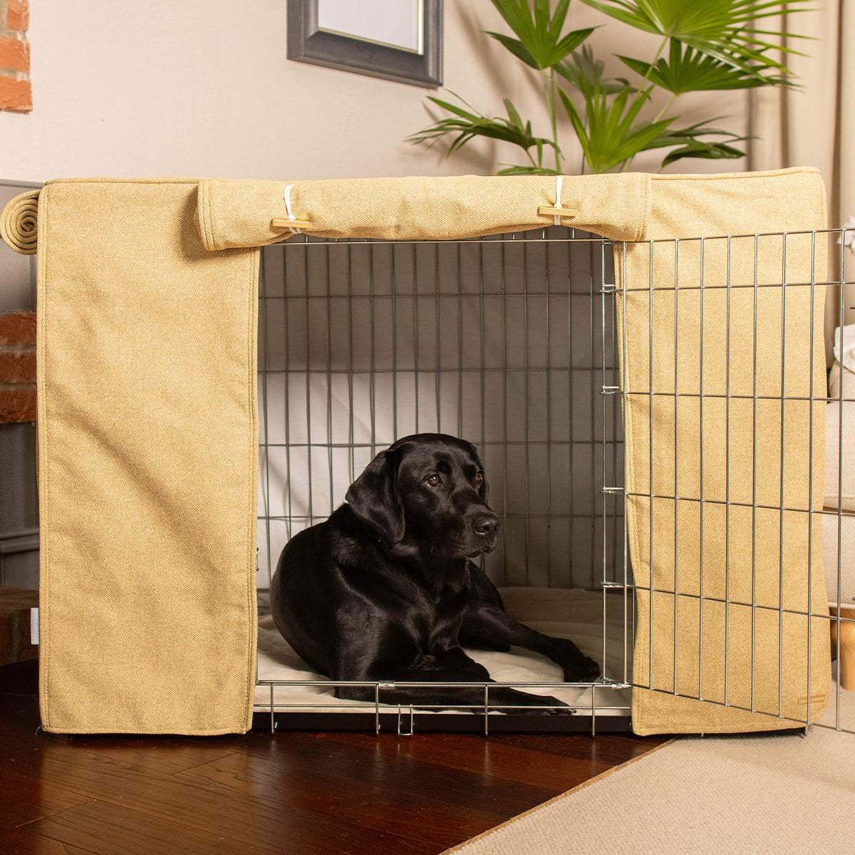 Dog Crate with Crate Cover in Honeysuckle Orkney Tweed, view 3
