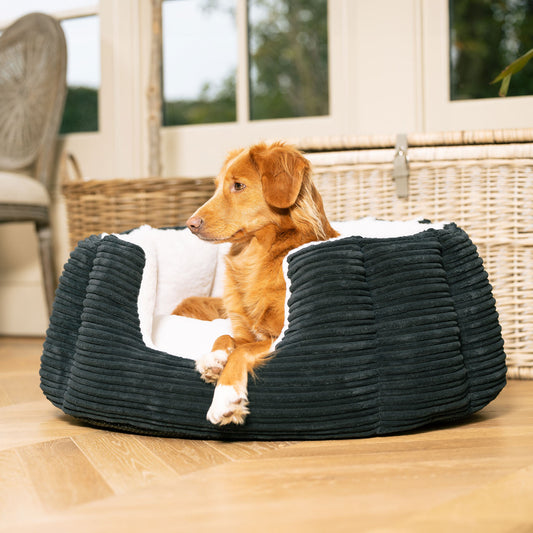 High Wall Bed With Removable Covers in Essentials Navy Plush