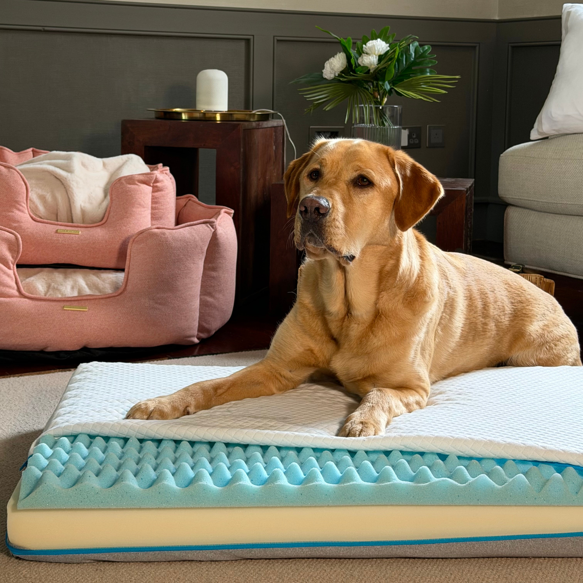 Slumba Orthopaedic Dog Mattress, view 3