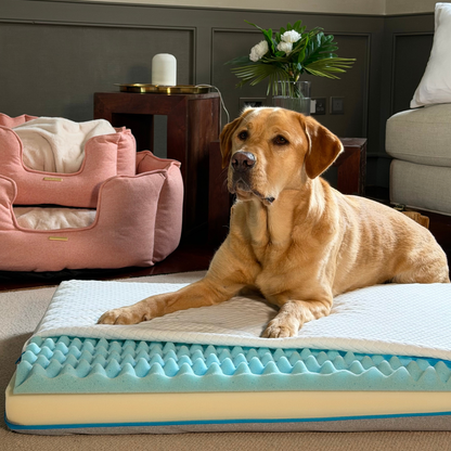 Slumba Orthopaedic Dog Mattress, view 3