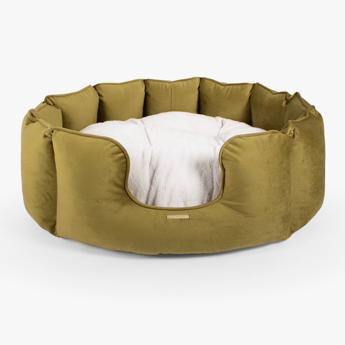 High Wall Bed With Removable Covers in Olive Velvet, view 6