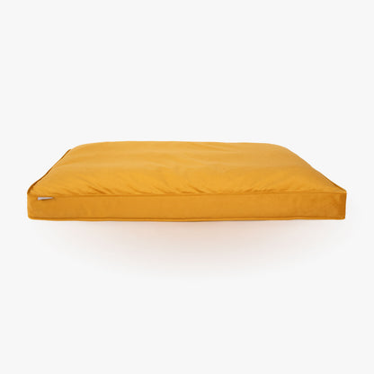 Dog Cushion in Saffron Velvet, view 9