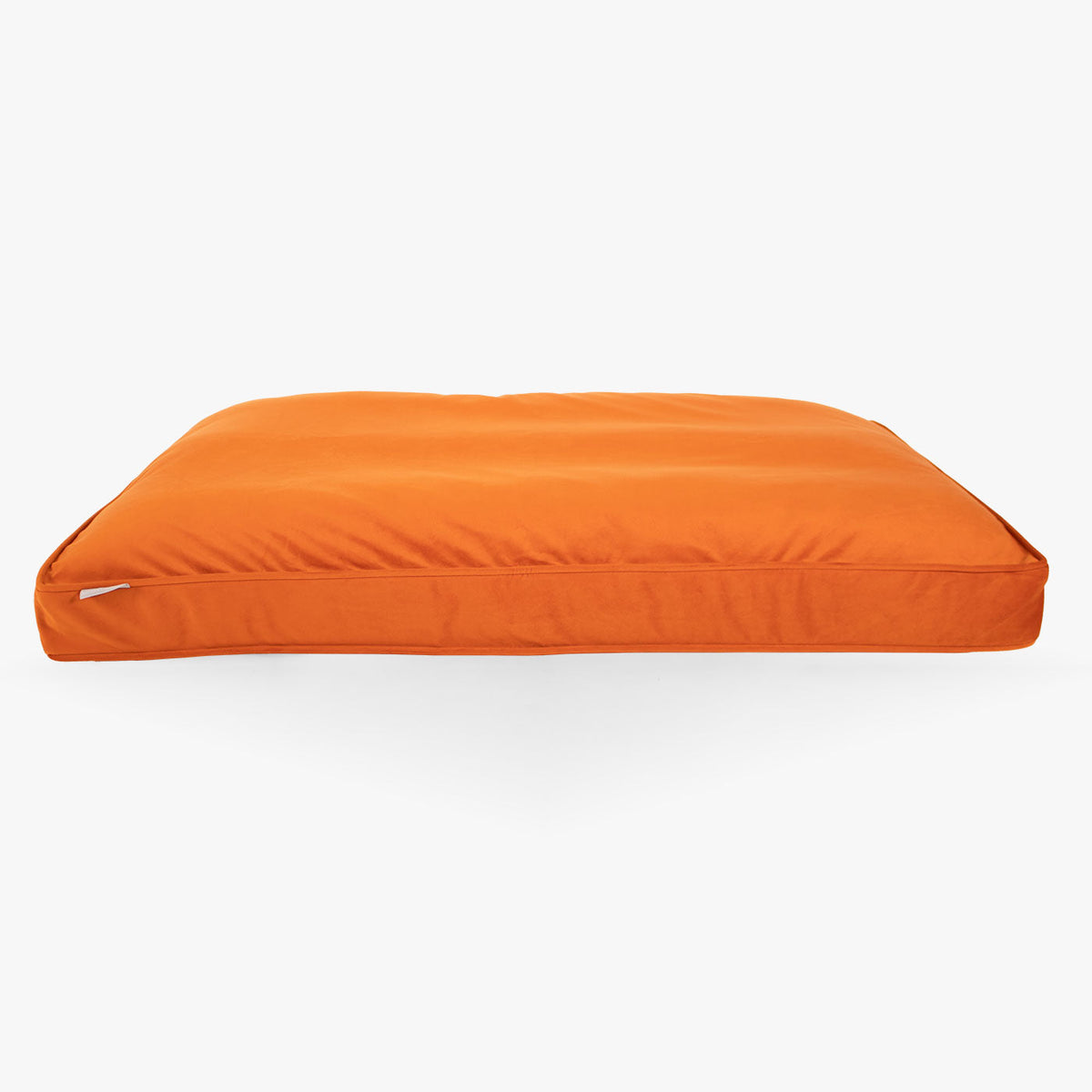 Dog Cushion in Pumpkin Velvet, view 9