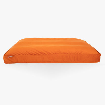 Dog Cushion in Pumpkin Velvet, view 9