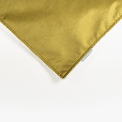 Dog & Puppy Blanket in Olive Velvet, view 5
