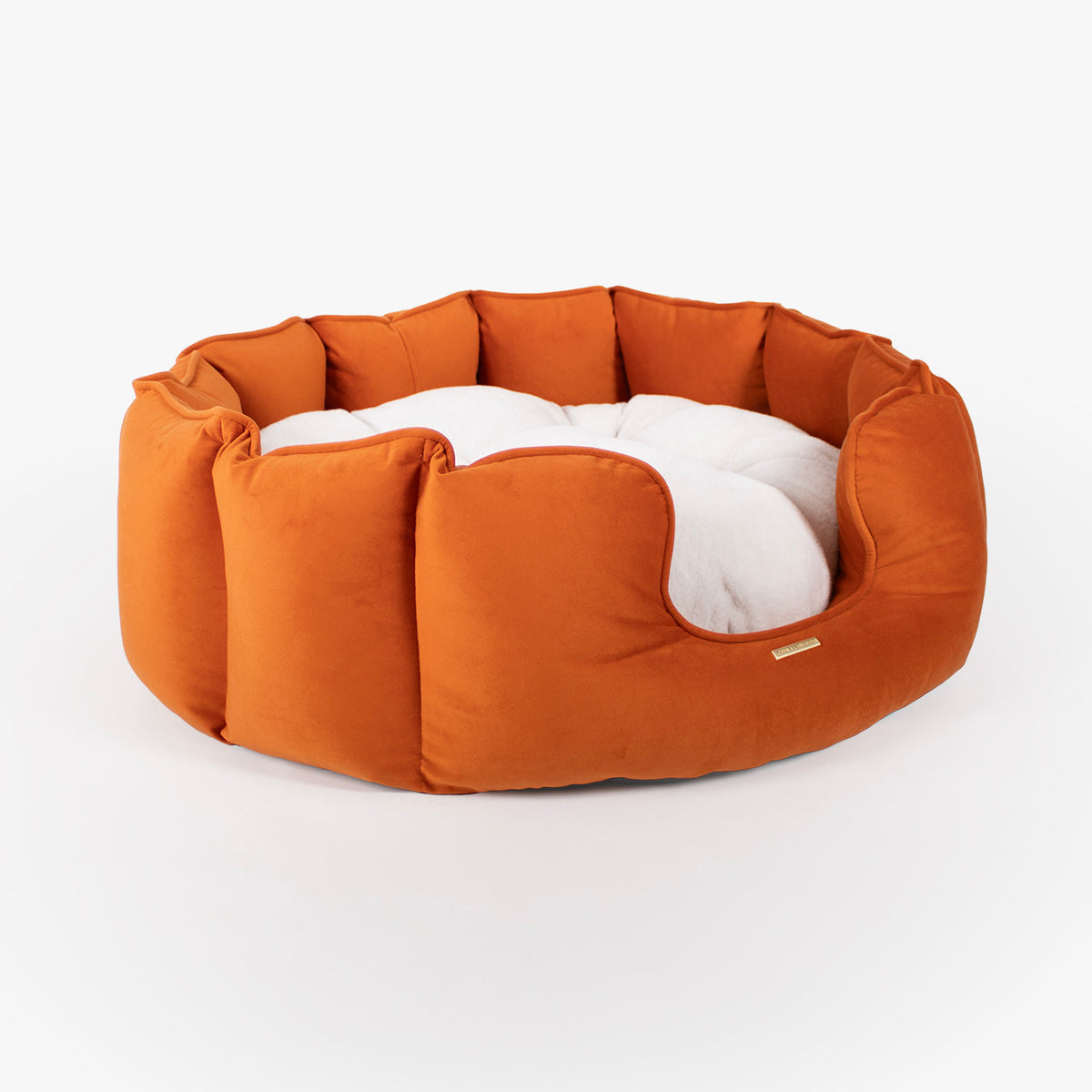 High Wall Bed With Removable Covers in Pumpkin Velvet, view 6