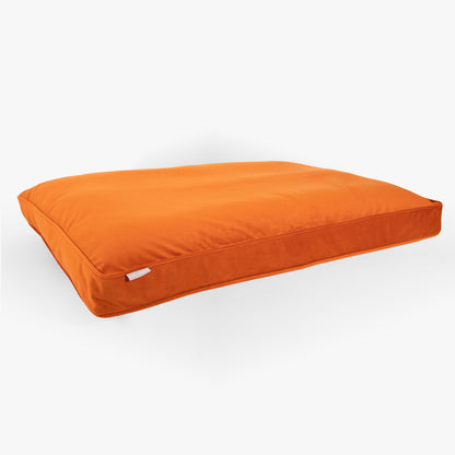 Dog Cushion in Pumpkin Velvet, view 10