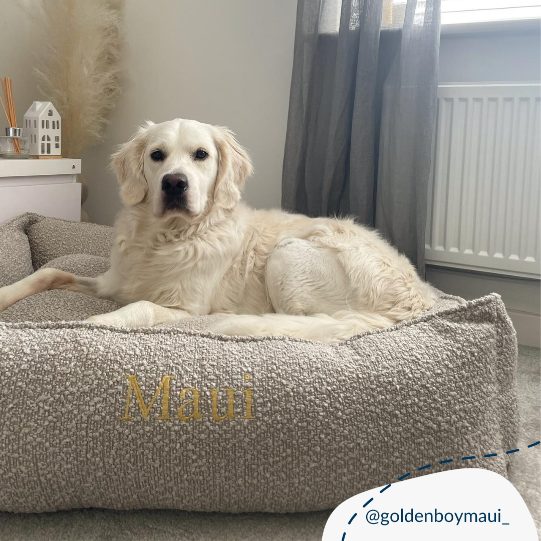 Box Bed With Removable Covers in Mink Bouclé, view 3