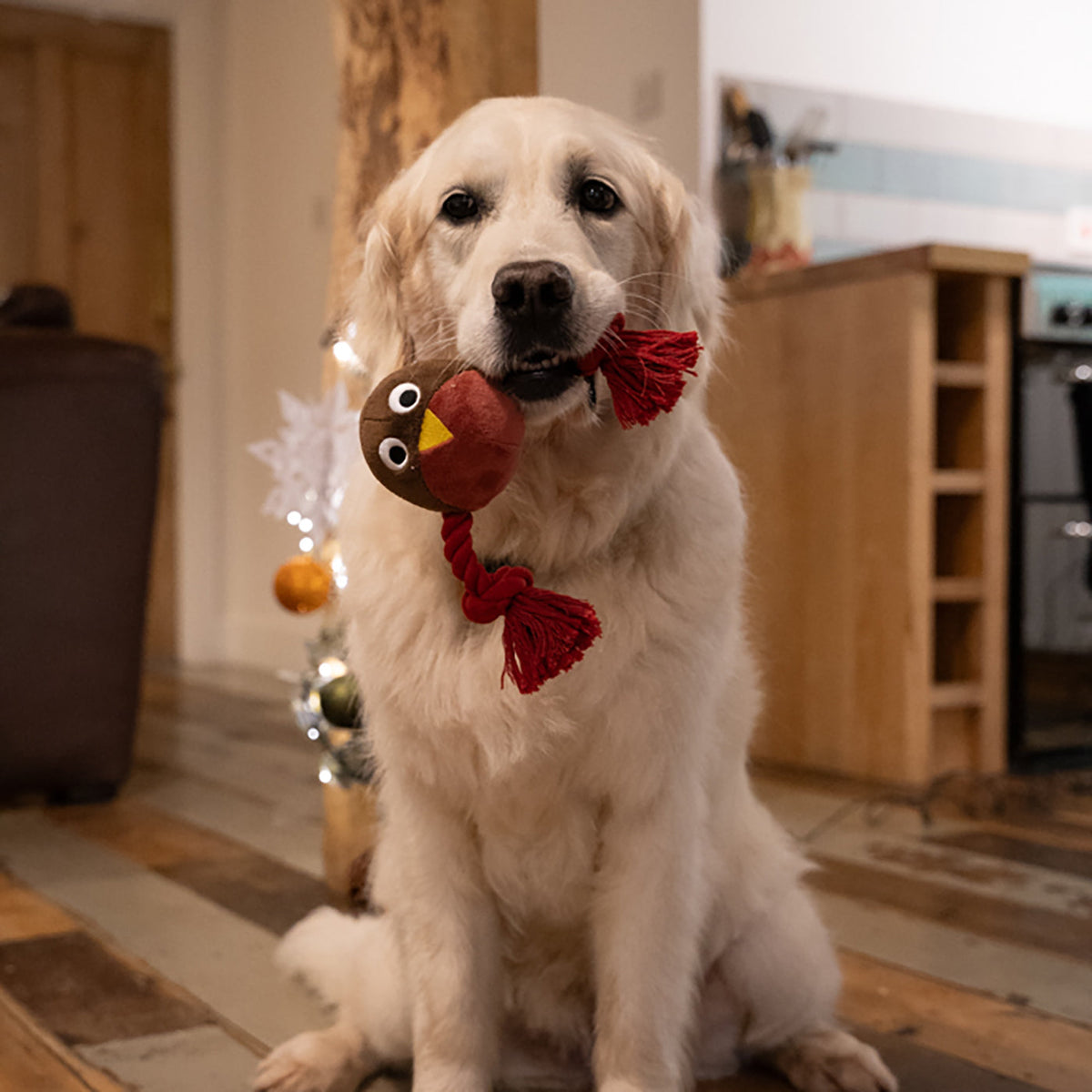 Ryan Robin With Rope Plush Christmas Dog Toy, view 3