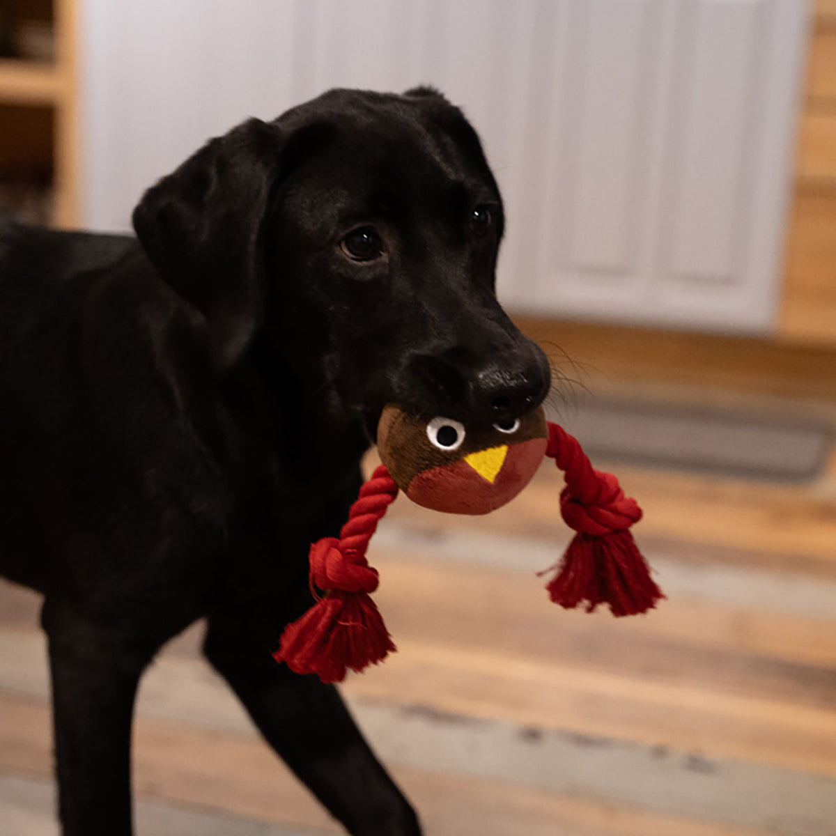 Ryan Robin With Rope Plush Christmas Dog Toy, view 2
