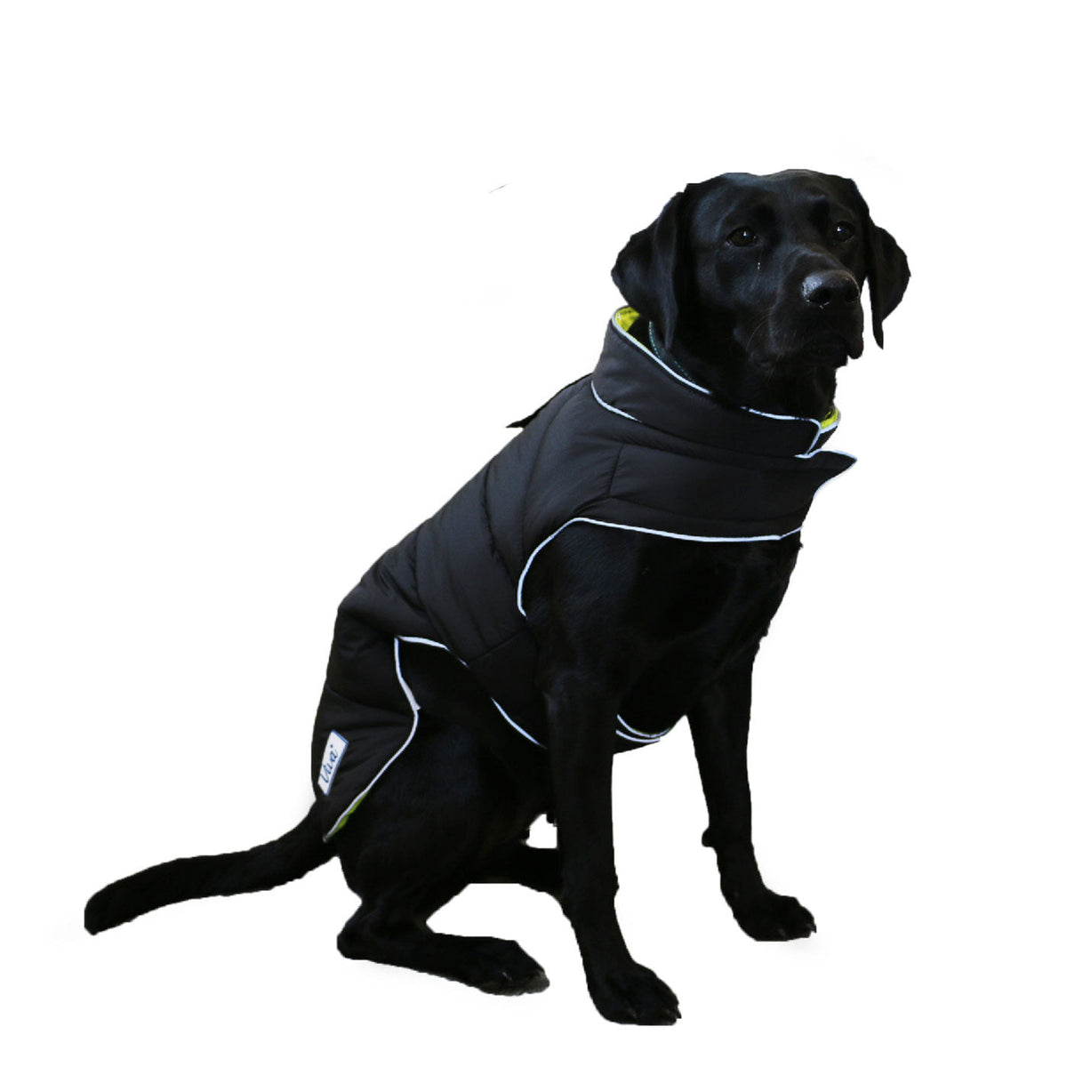 Ancol Viva Reversible Hi Vis Coat, view 2