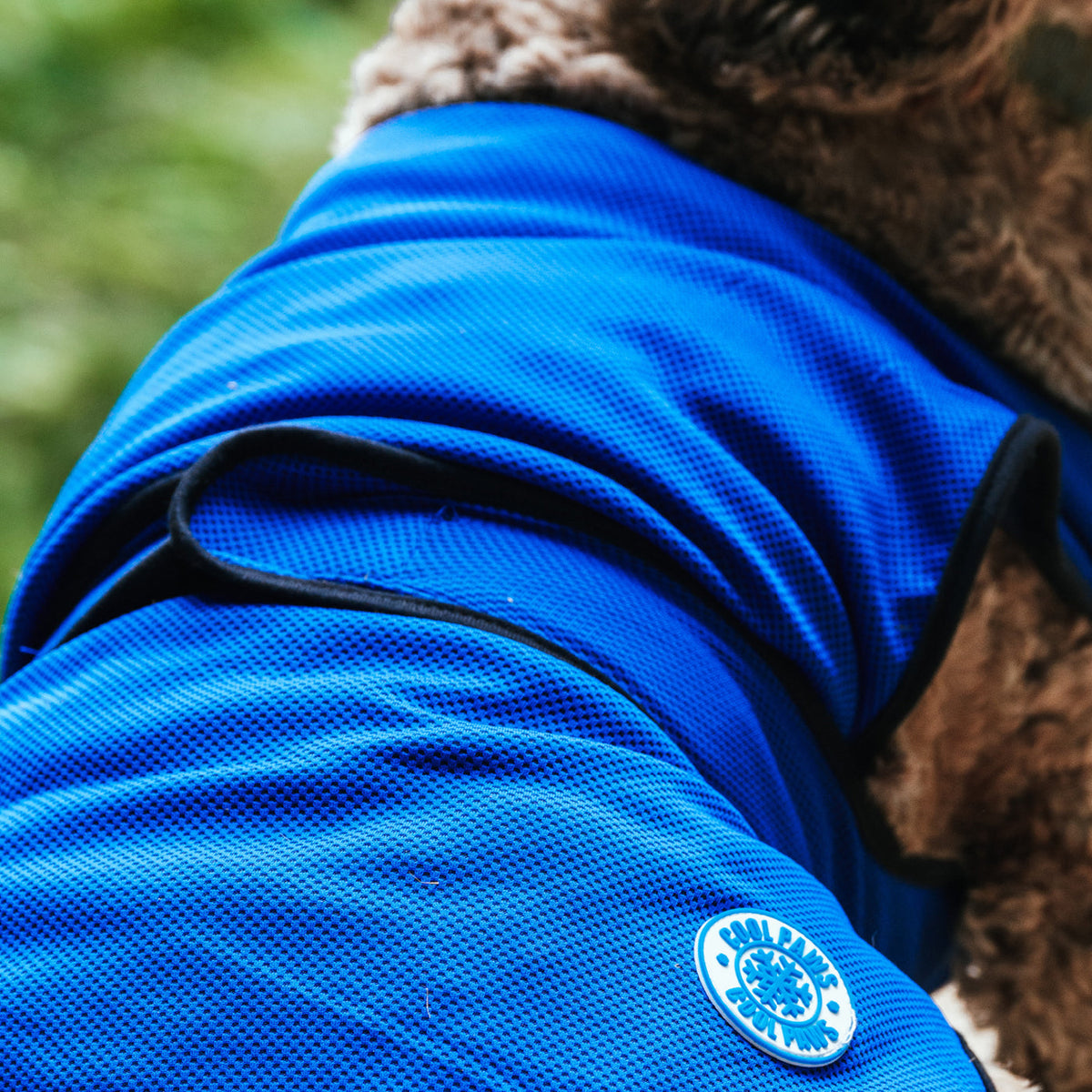 Ancol Dog Cooling Coat, view 2