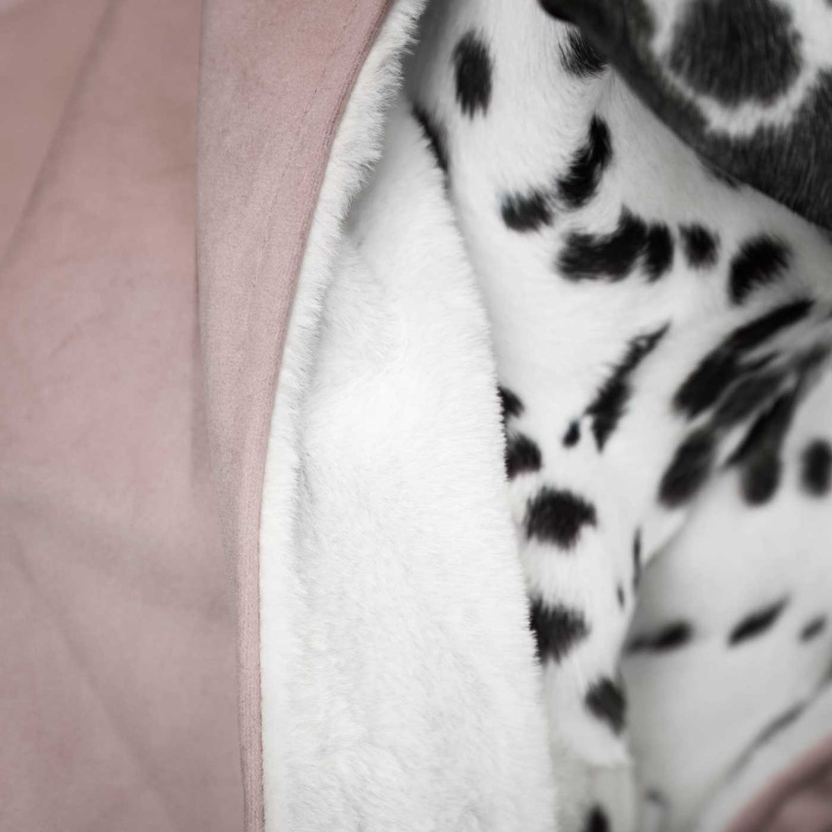Dog & Puppy Blanket in Blossom Velvet, view 3