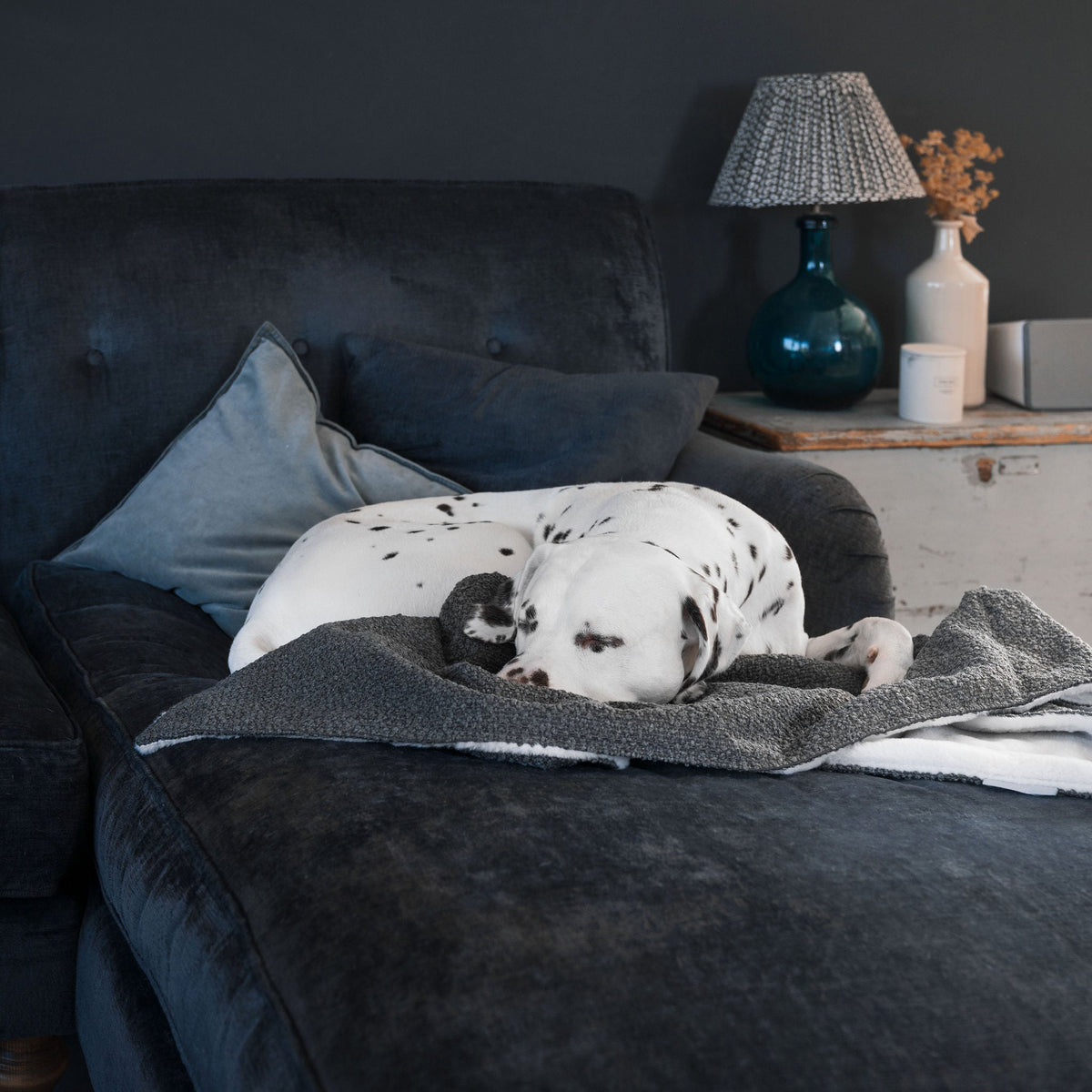 Dog & Puppy Blanket in Bouclé, view 17