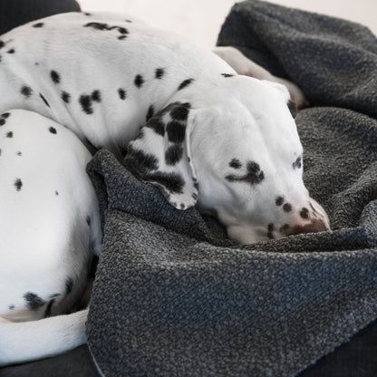 Dog & Puppy Blanket in Bouclé, view 15