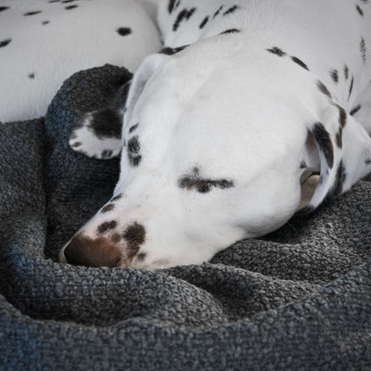 Dog & Puppy Blanket in Bouclé, view 14