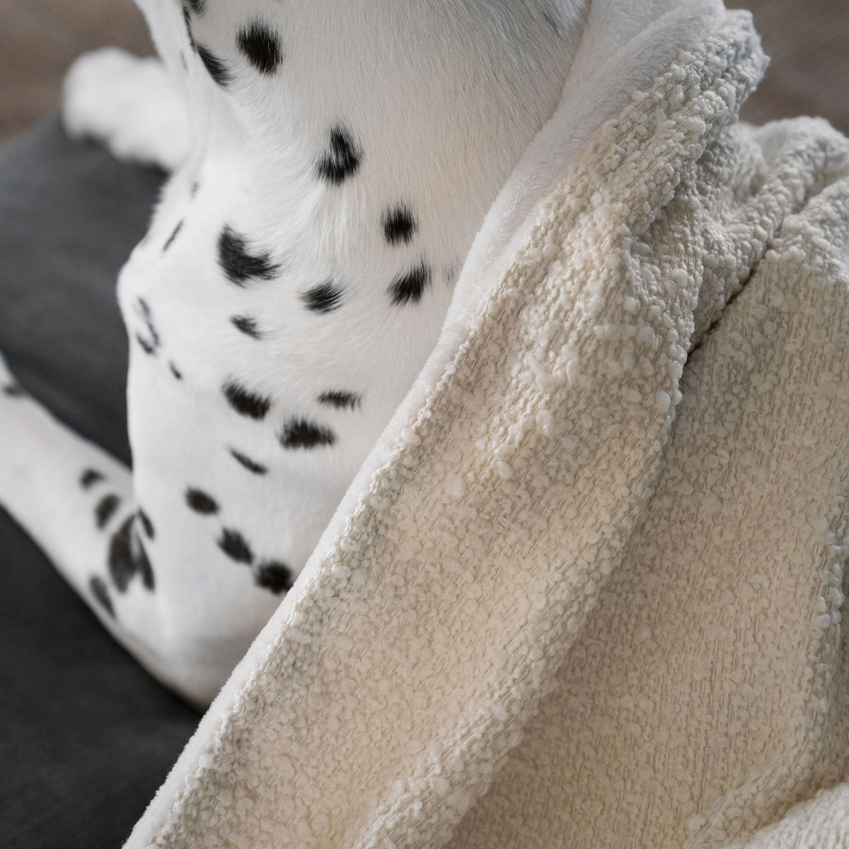 Dog & Puppy Blanket in Bouclé, view 2