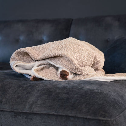 Dog & Puppy Blanket in Bouclé, view 8