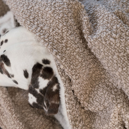 Dog & Puppy Blanket in Bouclé, view 10