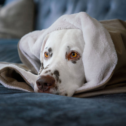 Dog & Puppy Blanket in Clay Velvet, view 3