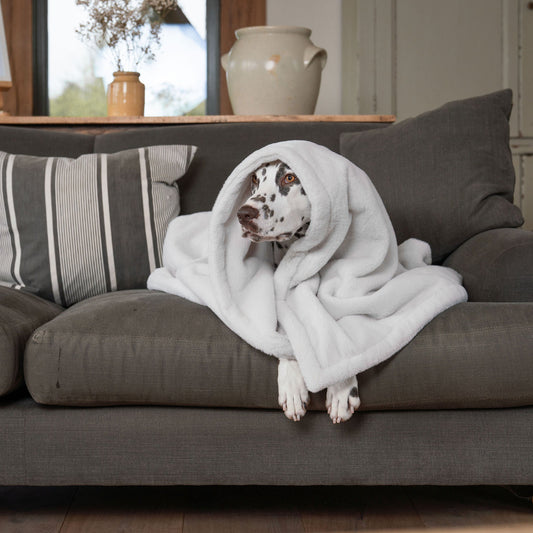 Dog & Puppy Blanket in Calming Anti-Anxiety Cream Faux Fur