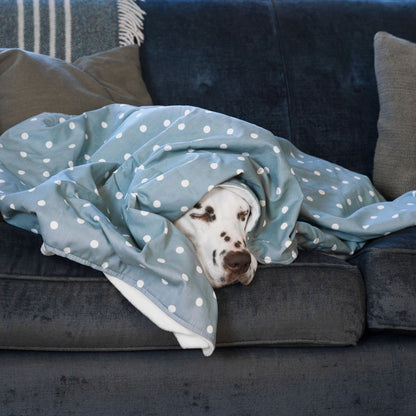 Dog & Puppy Blanket in Spots & Stripes, view 9