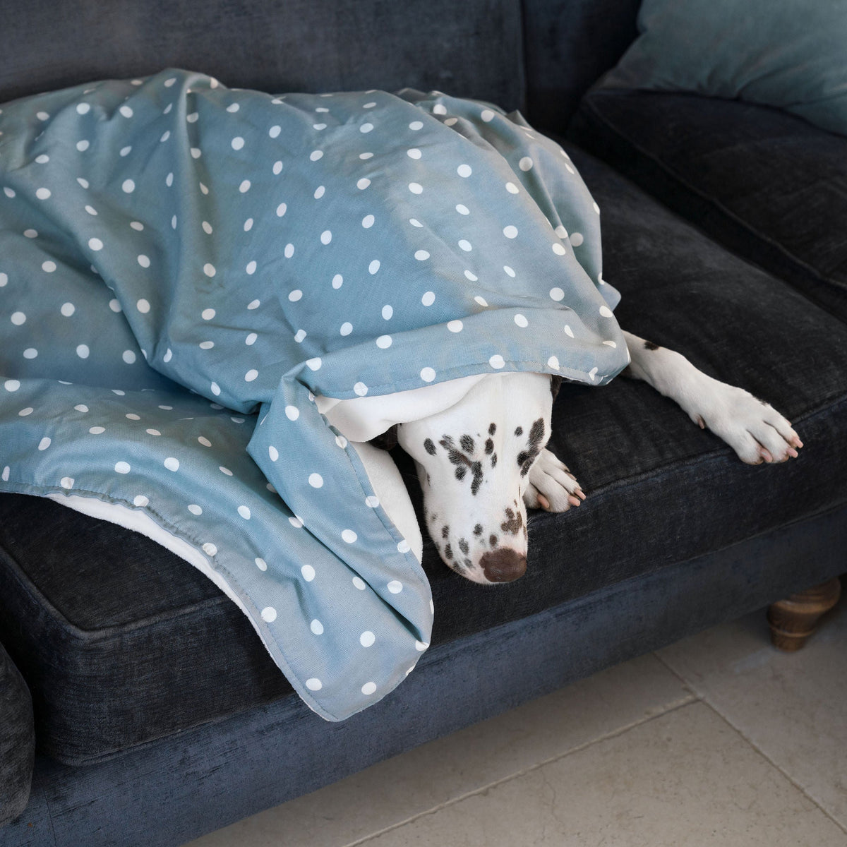 Dog & Puppy Blanket in Spots & Stripes, view 11