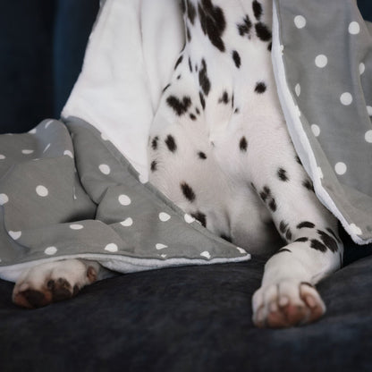 Dog & Puppy Blanket in Spots & Stripes, view 3