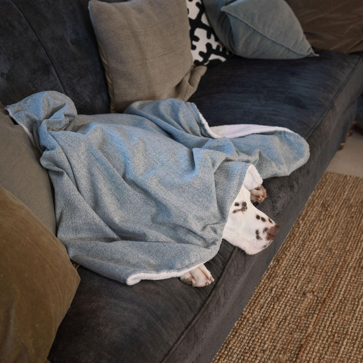 Dog & Puppy Blanket in Inchmurrin Iceberg, view 2