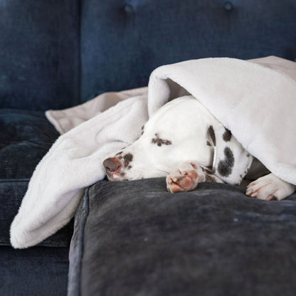 Dog & Puppy Blanket in Oyster Velvet, view 4