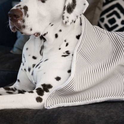 Dog & Puppy Blanket in Spots & Stripes, view 20