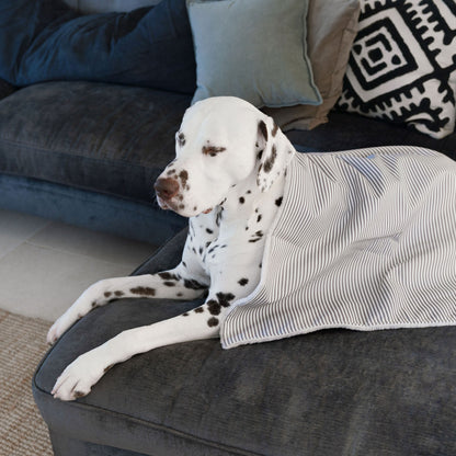 Dog & Puppy Blanket in Spots & Stripes, view 18
