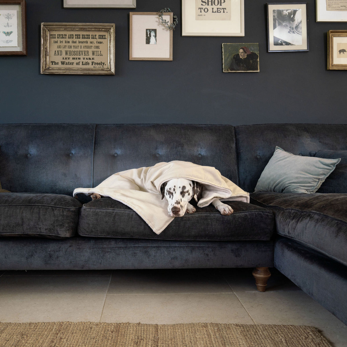 Dog & Puppy Blanket in Savanna Bone, view 2