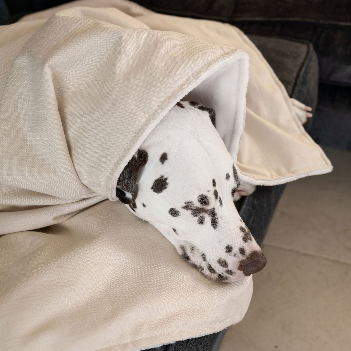 Dog & Puppy Blanket in Savanna Bone, view 3