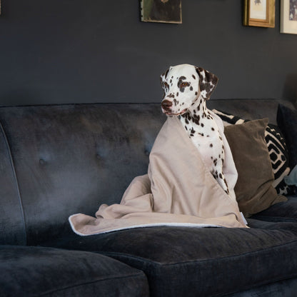 Dog & Puppy Blanket in Savanna Oatmeal