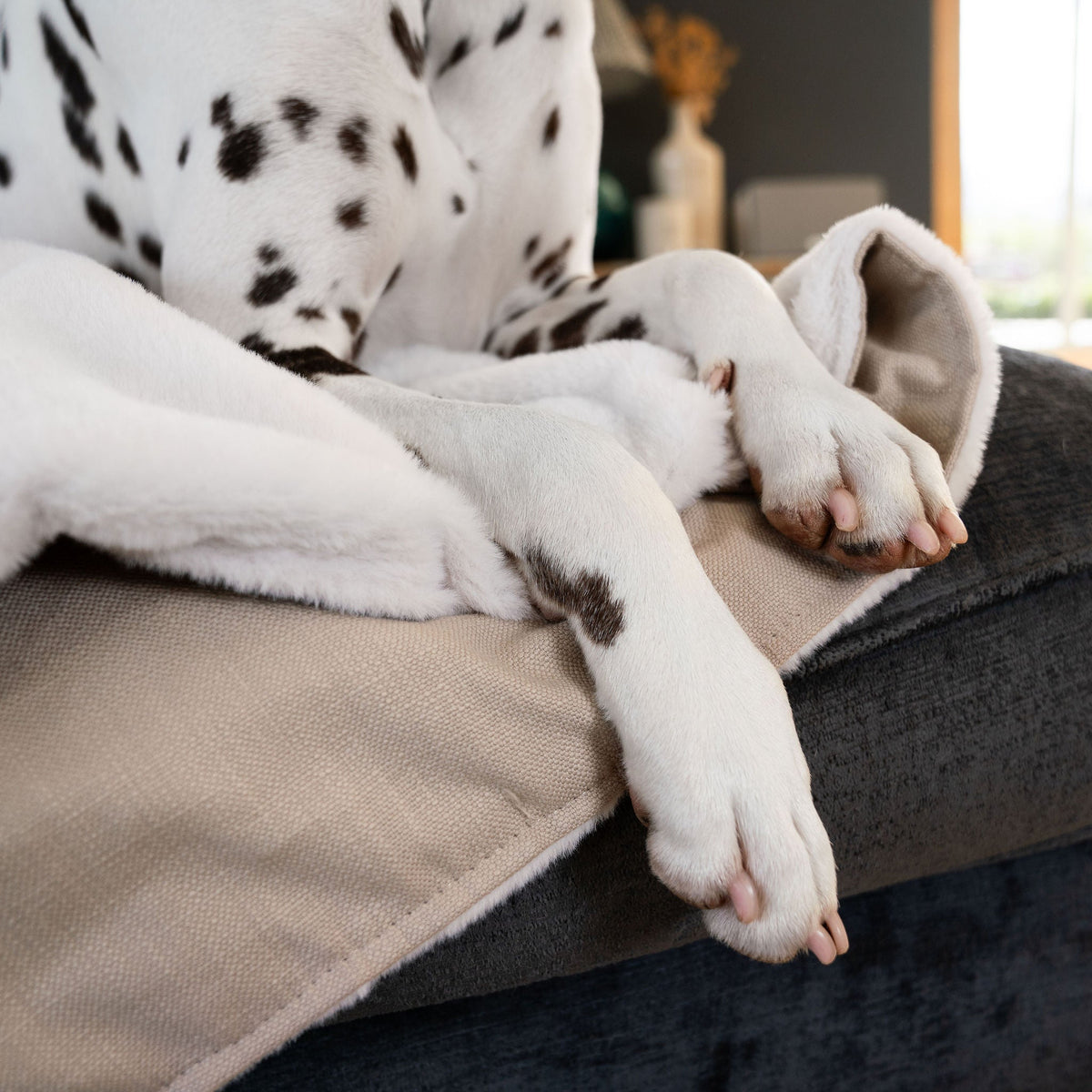 Dog & Puppy Blanket in Savanna Oatmeal, view 2