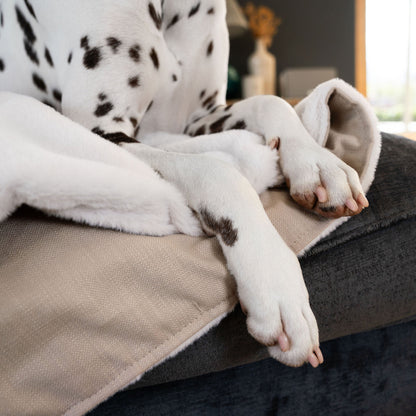 Dog & Puppy Blanket in Savanna Oatmeal, view 2