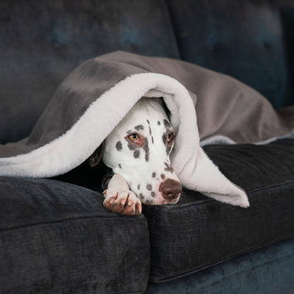 Dog & Puppy Blanket in Silt Velvet
