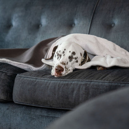 Dog & Puppy Blanket in Silt Velvet, view 3