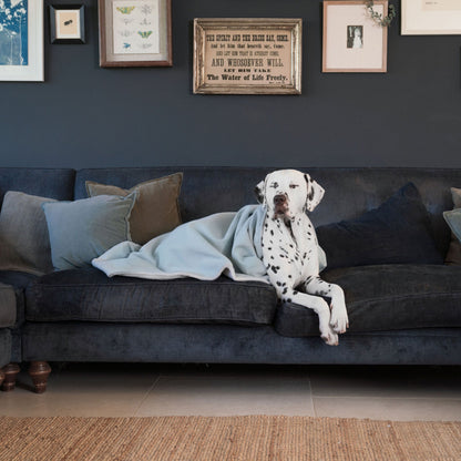 Dog & Puppy Blanket in Herringbone Tweed, view 19