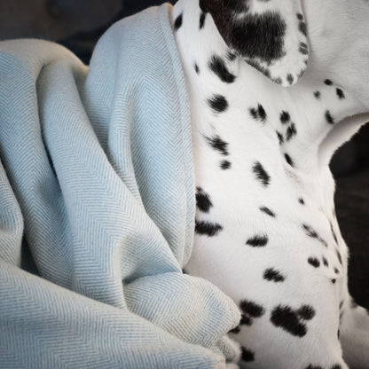 Dog & Puppy Blanket in Herringbone Tweed, view 17