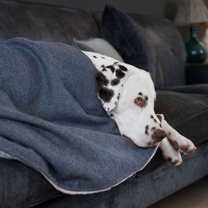 Dog & Puppy Blanket in Herringbone Tweed, view 2