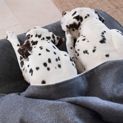 Dog & Puppy Blanket in Herringbone Tweed, view 4