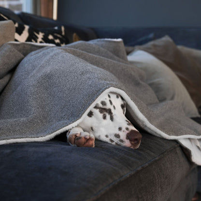 Dog & Puppy Blanket in Herringbone Tweed, view 6