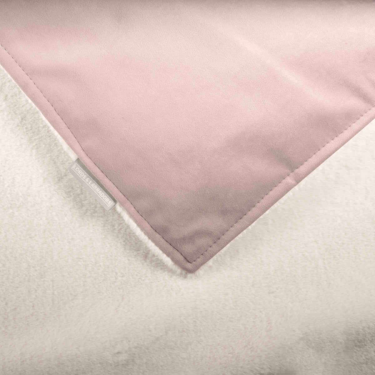 Dog & Puppy Blanket in Blossom Velvet, view 5